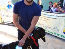 2019_ausstellung polling_704